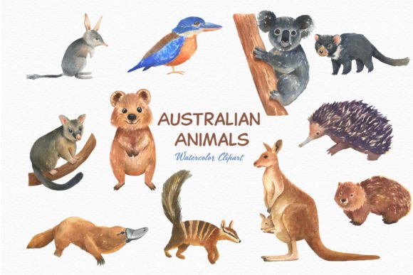 Australian Animals Watercolor Clipart: Bringing Nature's Charm to Your Designs